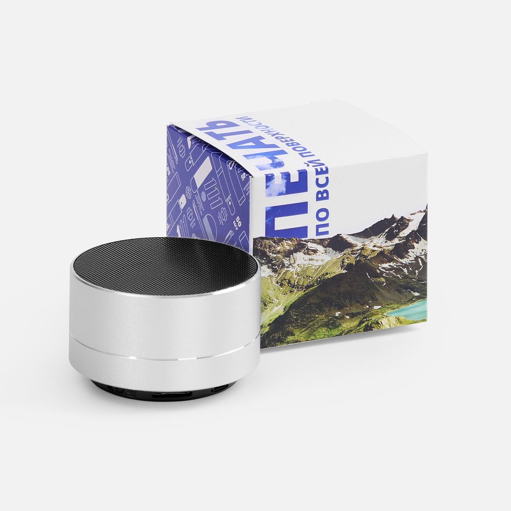 Коробка с полноцветной печатью для колонки Easy / Миниатюра WWW (1000)