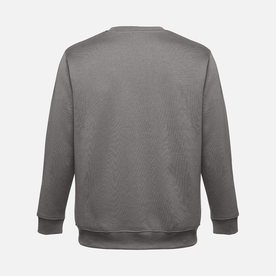 Свитшот унисекс Delta, серый / Миниатюра WWW (1000)