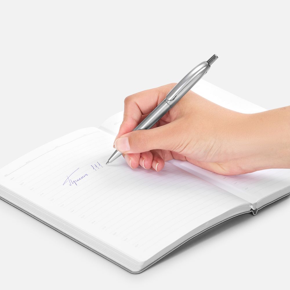 Ручка шариковая Bright Spark, серебристая / Миниатюра WWW (1000)