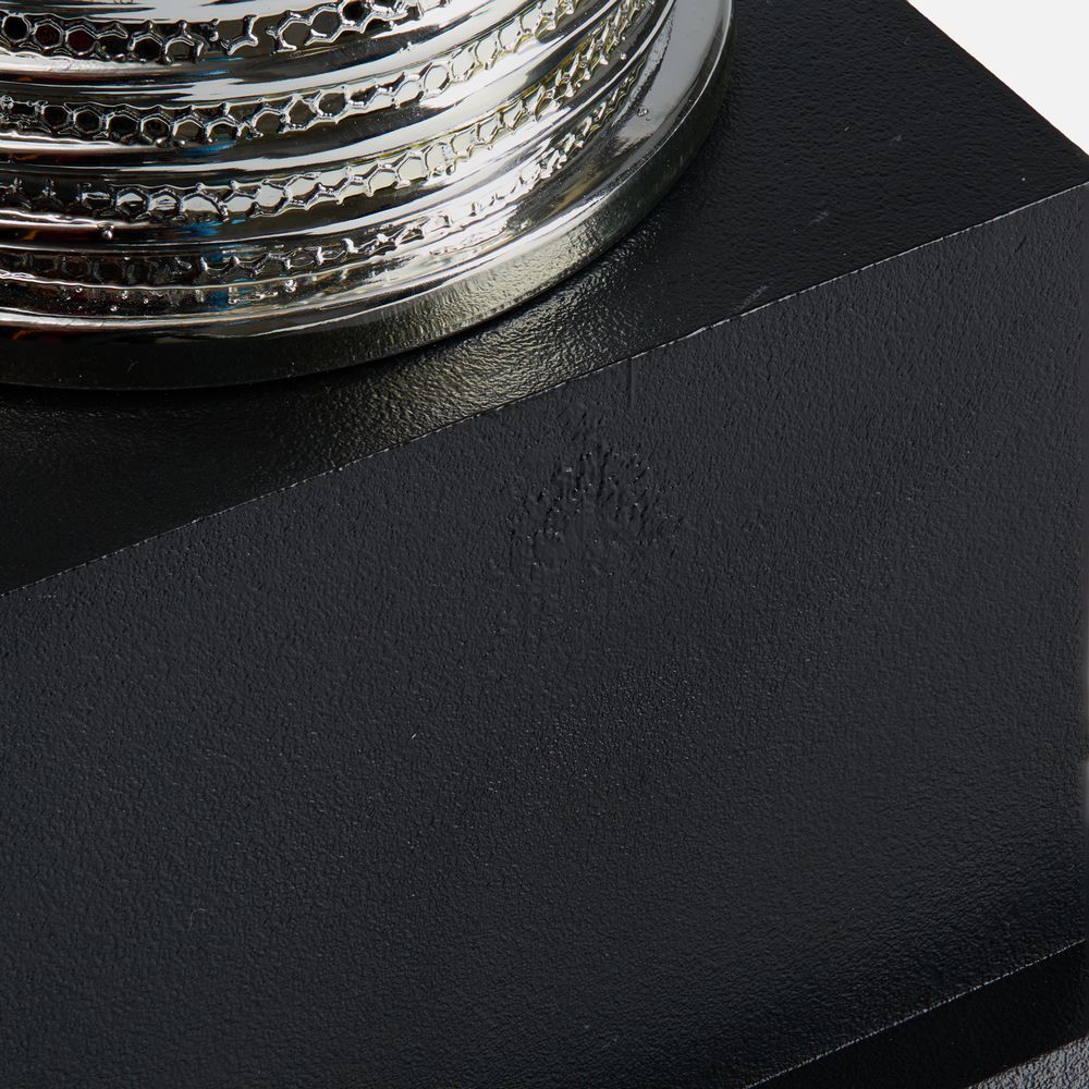 Кубок-факел Flamous Glory / Миниатюра WWW (1000)