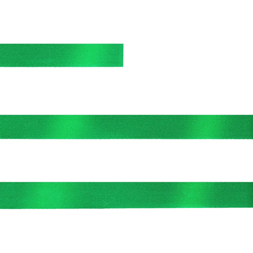 Лента сатиновая Satin 10 S, зеленая, 20 см / Миниатюра WWW (1000)