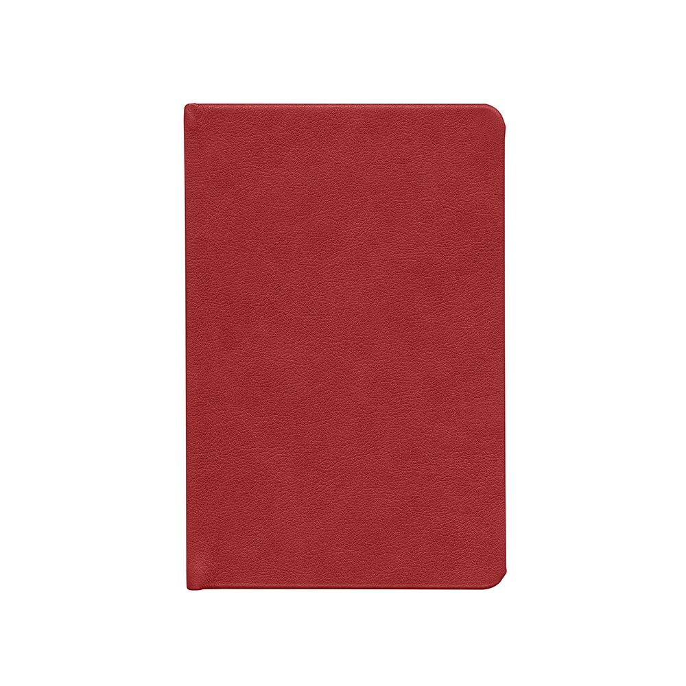Ежедневник Daily Mini, недатированный, красный / Миниатюра WWW (1000)