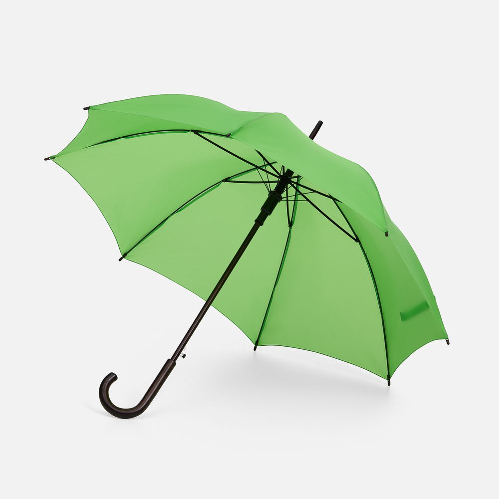 Зонт-трость Standard, зеленое яблоко / Миниатюра WWW (1000)