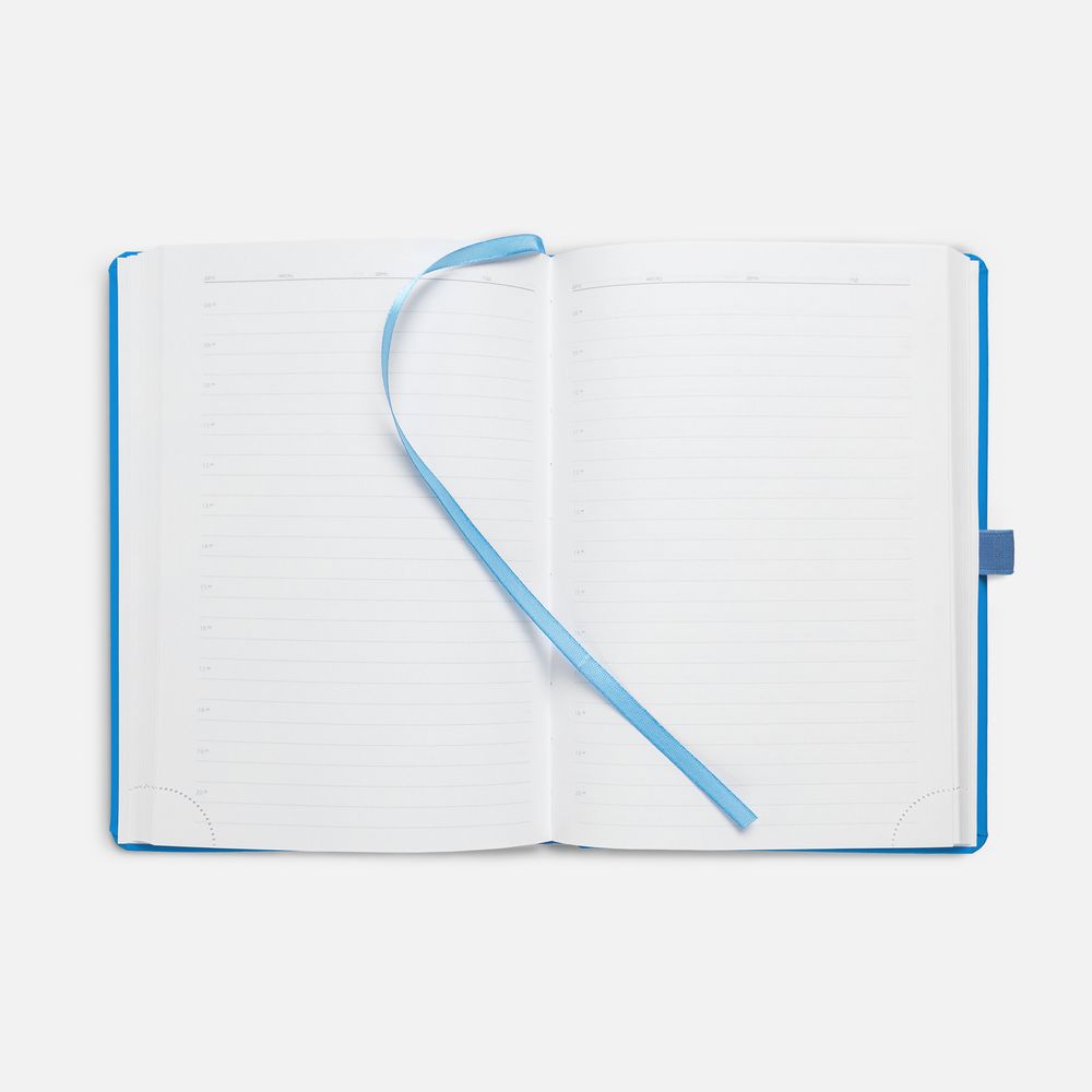 Ежедневник Favor, недатированный, голубой / Миниатюра WWW (1000)