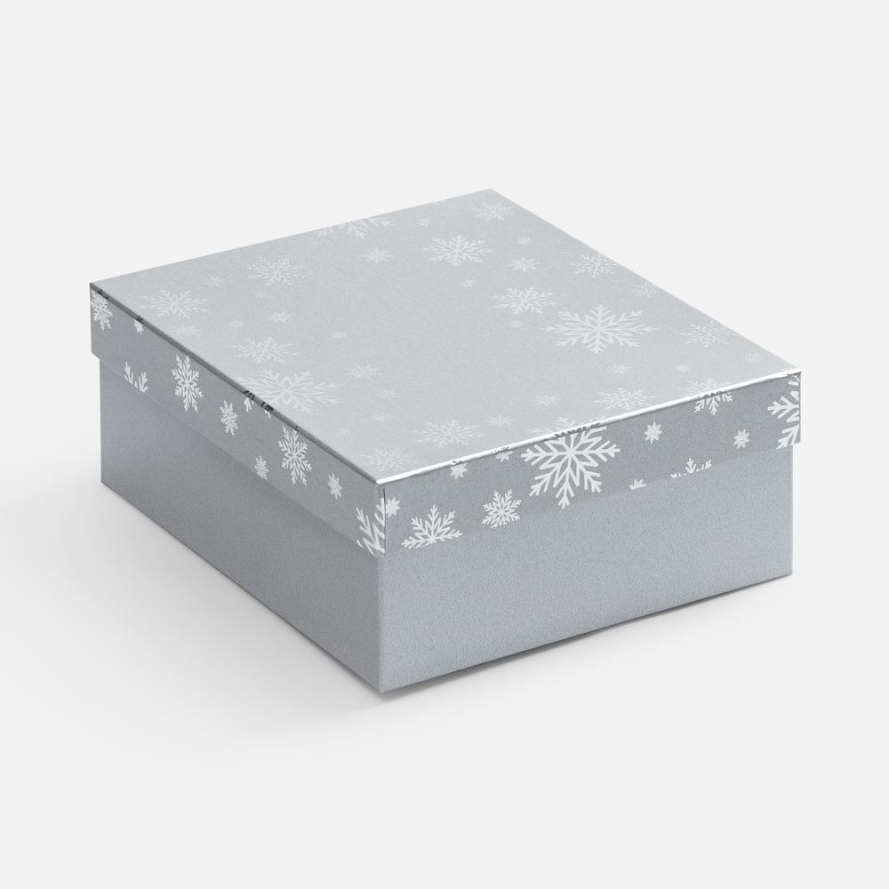 Коробка Wintry, серебристая / Миниатюра WWW (1000)