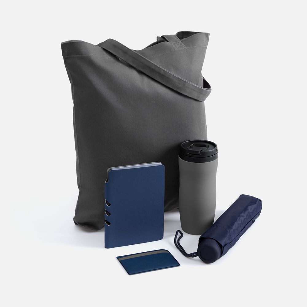 Набор Dual Umbrella, синий / Миниатюра WWW (1000)