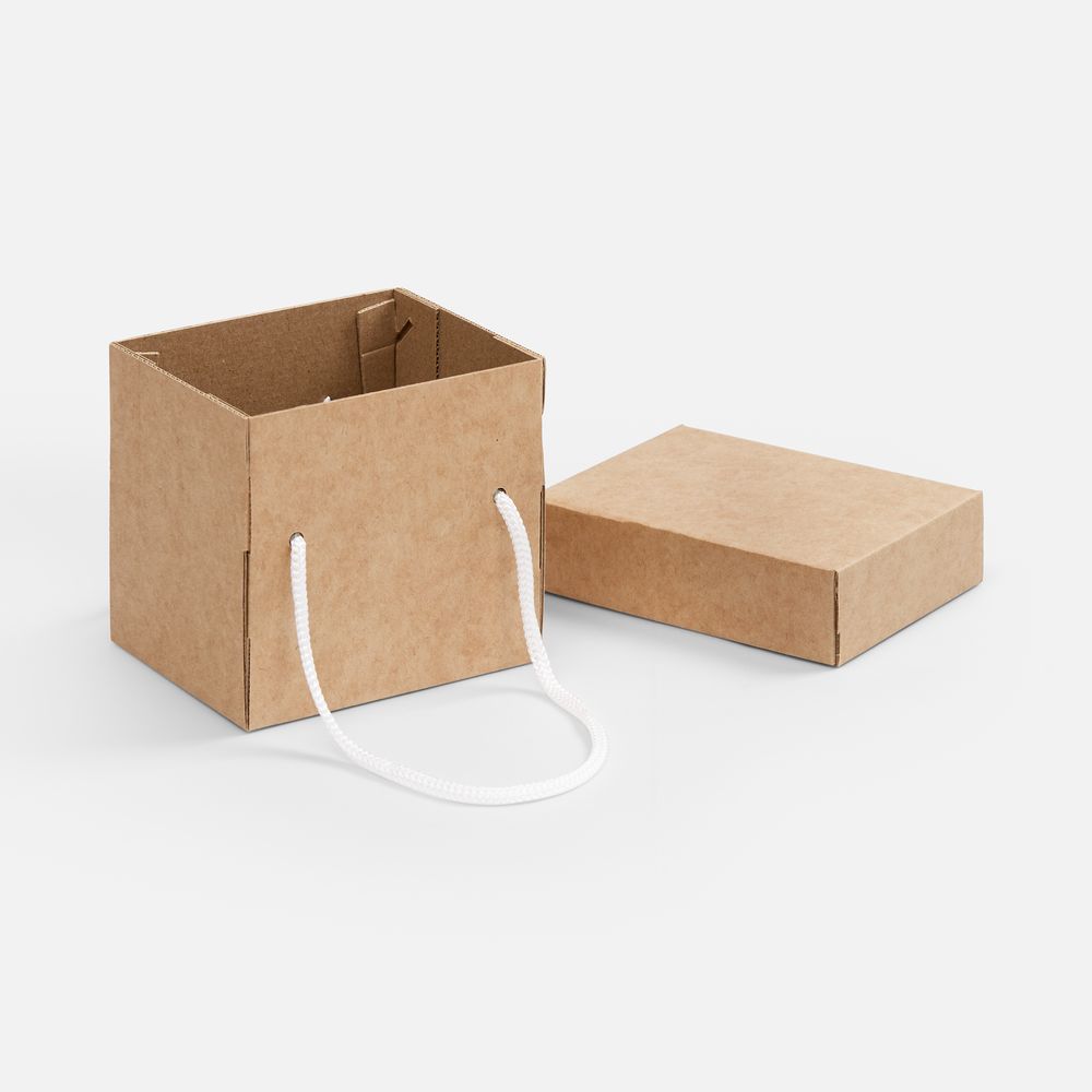 Коробка Kitbag, ver.2, крафт / Миниатюра WWW (1000)