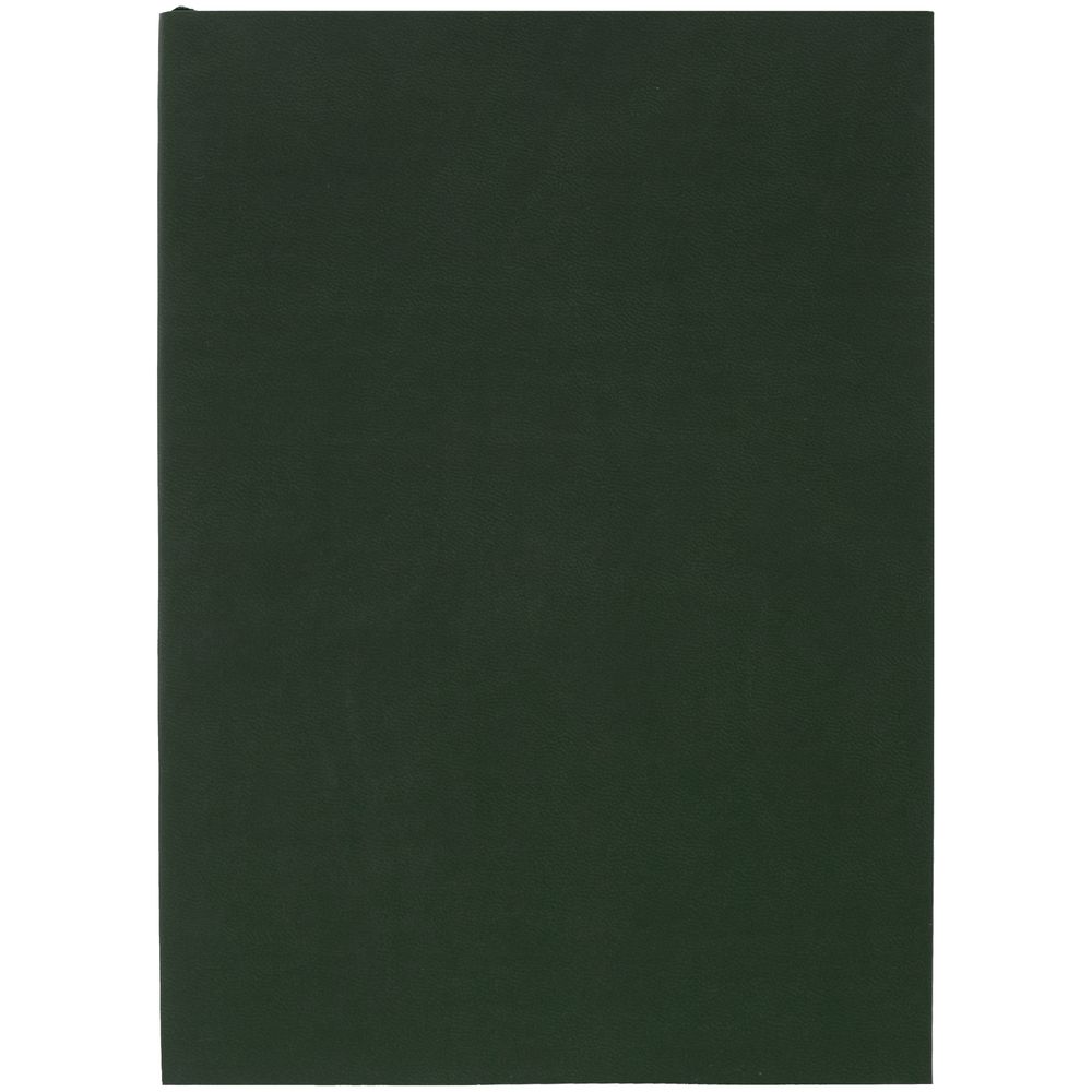 Ежедневник Flat Light, недатированный, зеленый / Миниатюра WWW (1000)