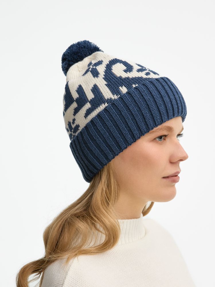 Шапка Wintertude, синяя с белым / Миниатюра WWW (1000)