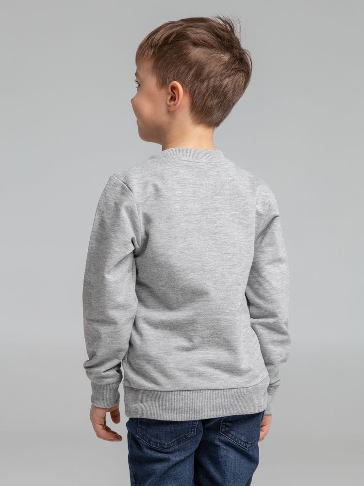Свитшот детский Toima Kids, серый меланж / Миниатюра WWW (1000)