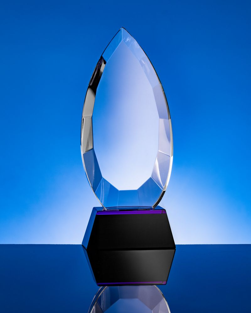 Награда Droplet / Миниатюра WWW (1000)