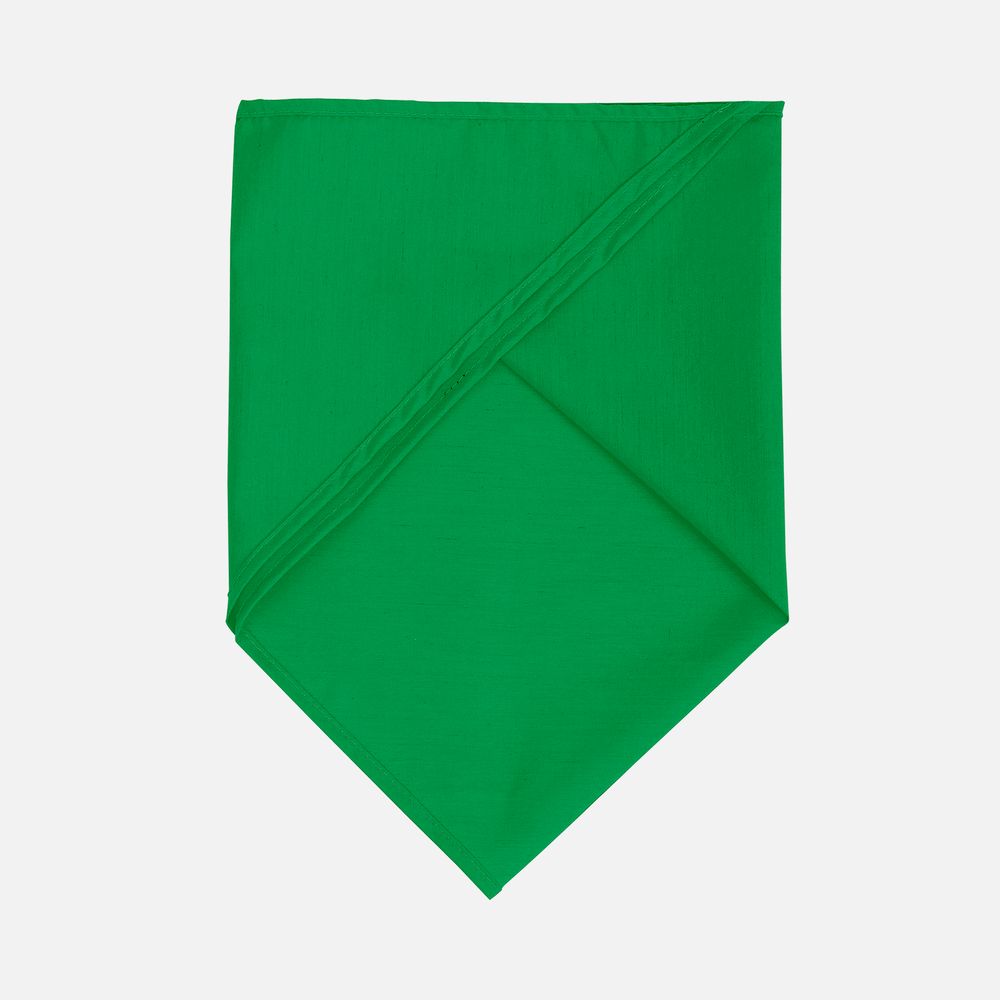 Шейный платок Bandana, ярко-зеленый / Миниатюра WWW (1000)