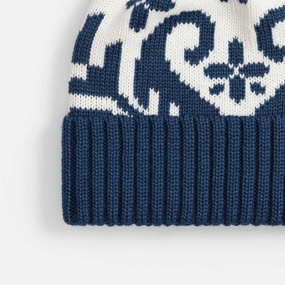 Шапка Wintertude, синяя с белым / Миниатюра WWW (1000)