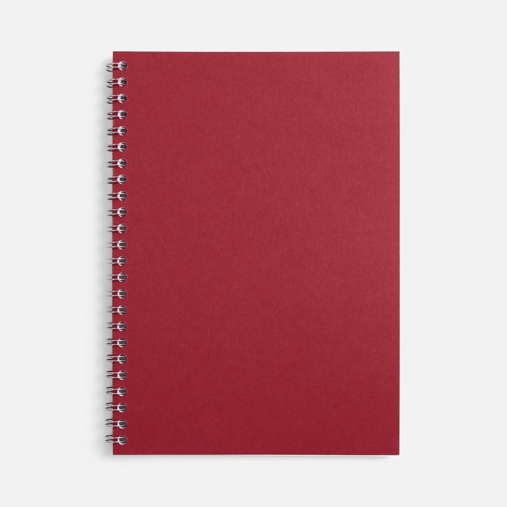 Блокнот Salvador в клетку, красный ver.2 / Миниатюра WWW (1000)