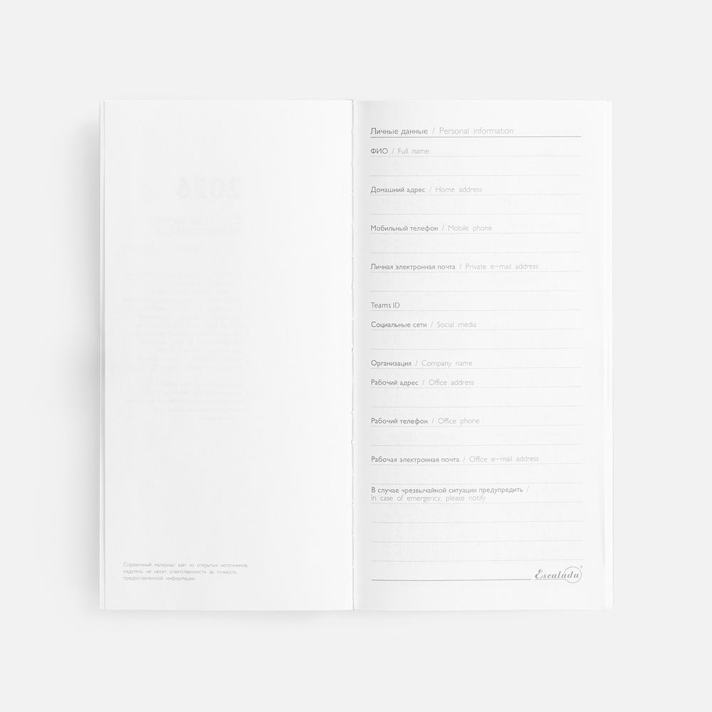 Еженедельник Baza, датированный, серый / Миниатюра WWW (1000)