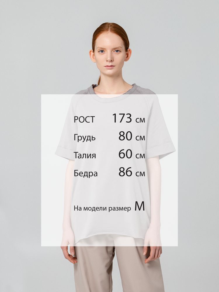 Футболка Vozduh, серая / Миниатюра WWW (1000)