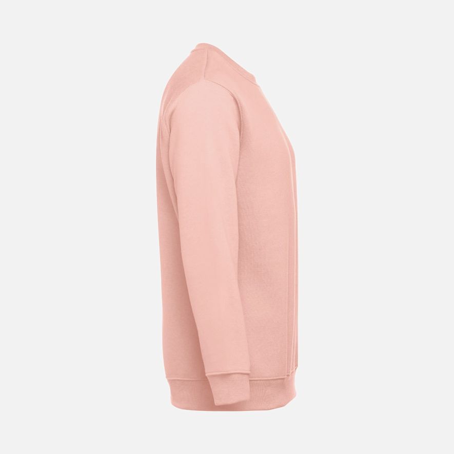 Свитшот унисекс Delta, розовый (лососевый) / Миниатюра WWW (1000)