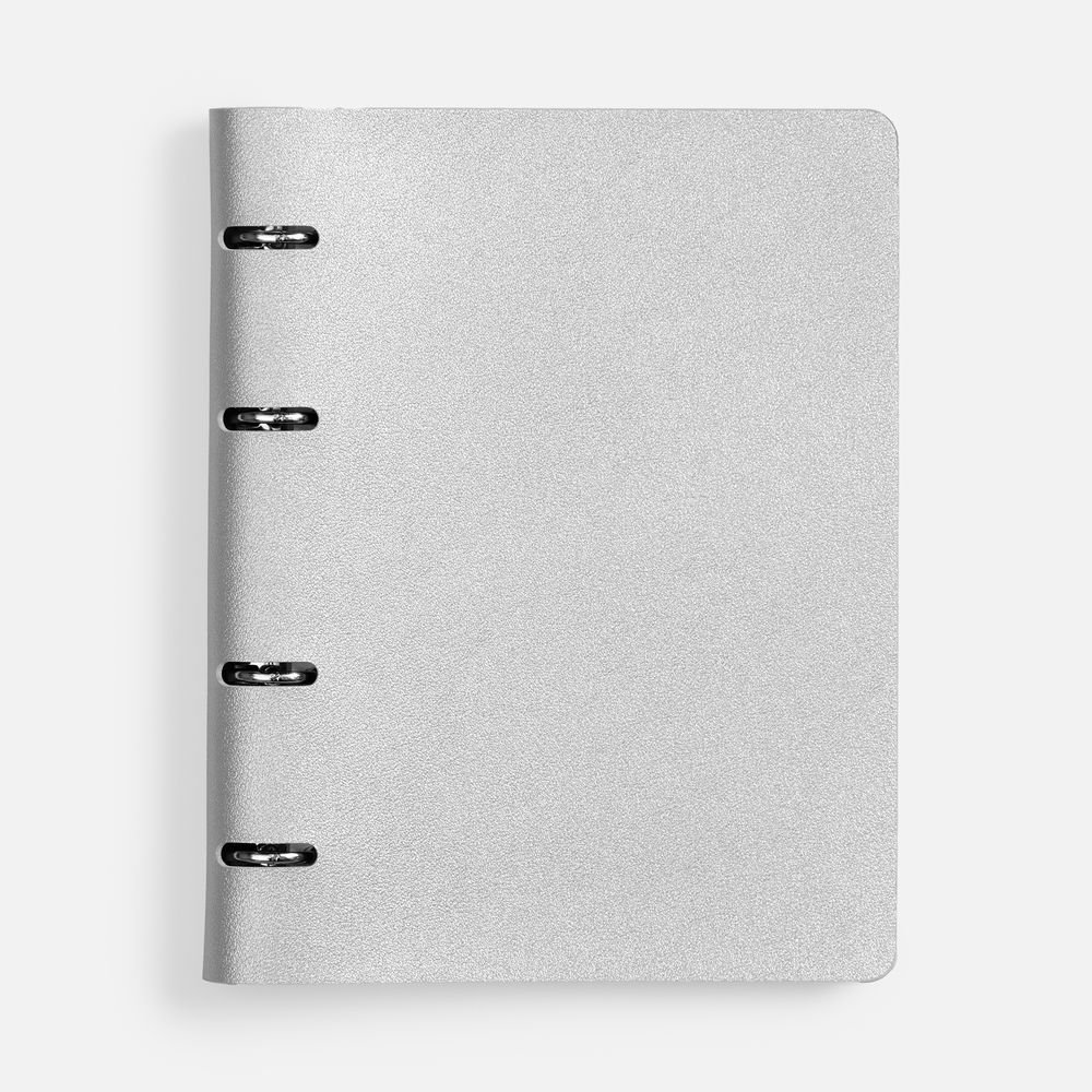 Ежедневник Ringo, недатированный, серебристый / Миниатюра WWW (1000)