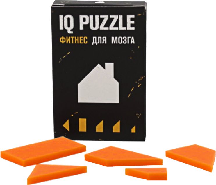 Головоломка IQ Puzzle, домик / Миниатюра WWW (1000)