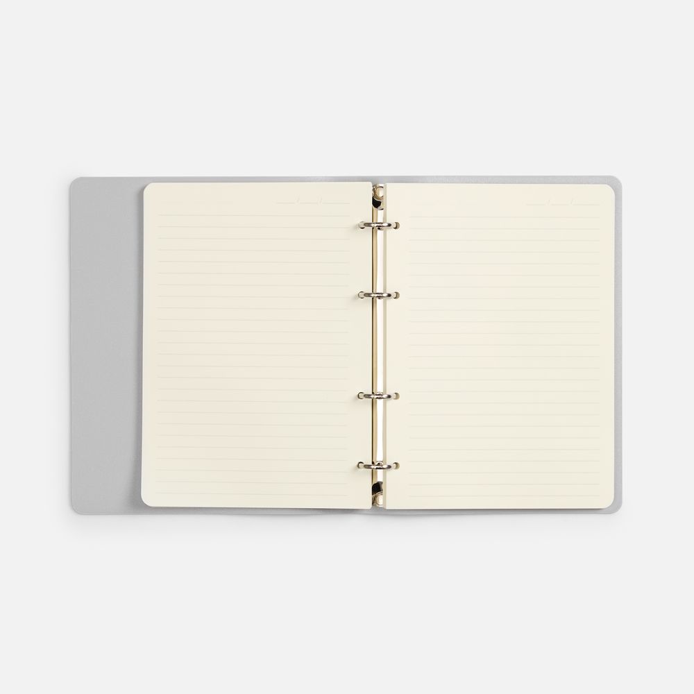 Ежедневник Ringo, недатированный, серебристый / Миниатюра WWW (1000)