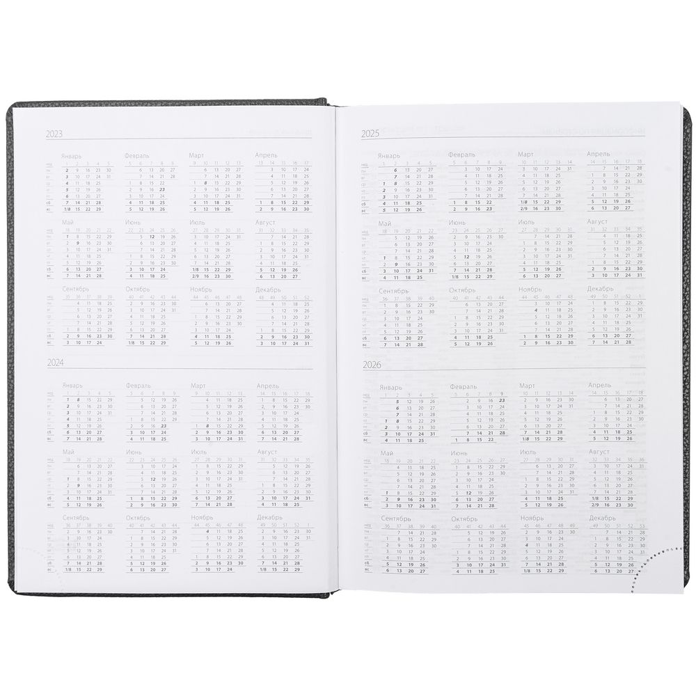 Ежедневник Sagrin, недатированный, темно-серый / Миниатюра WWW (1000)