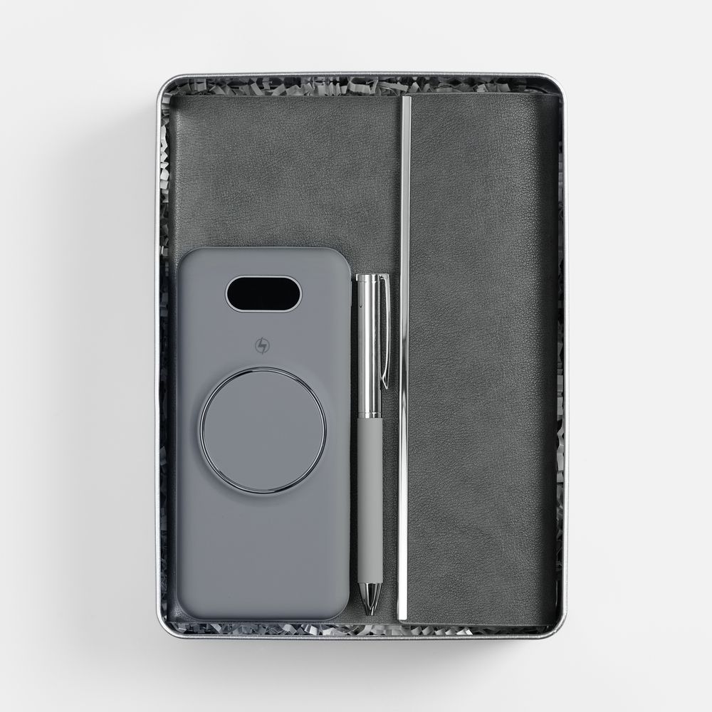 Набор Petrus Energy, серый / Миниатюра WWW (1000)